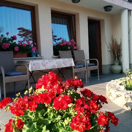 Dolenjska Vila Zuzemberk Екстер'єр фото