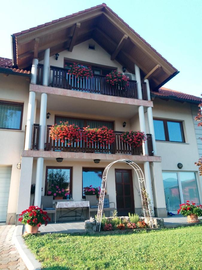 Dolenjska Vila Zuzemberk Екстер'єр фото