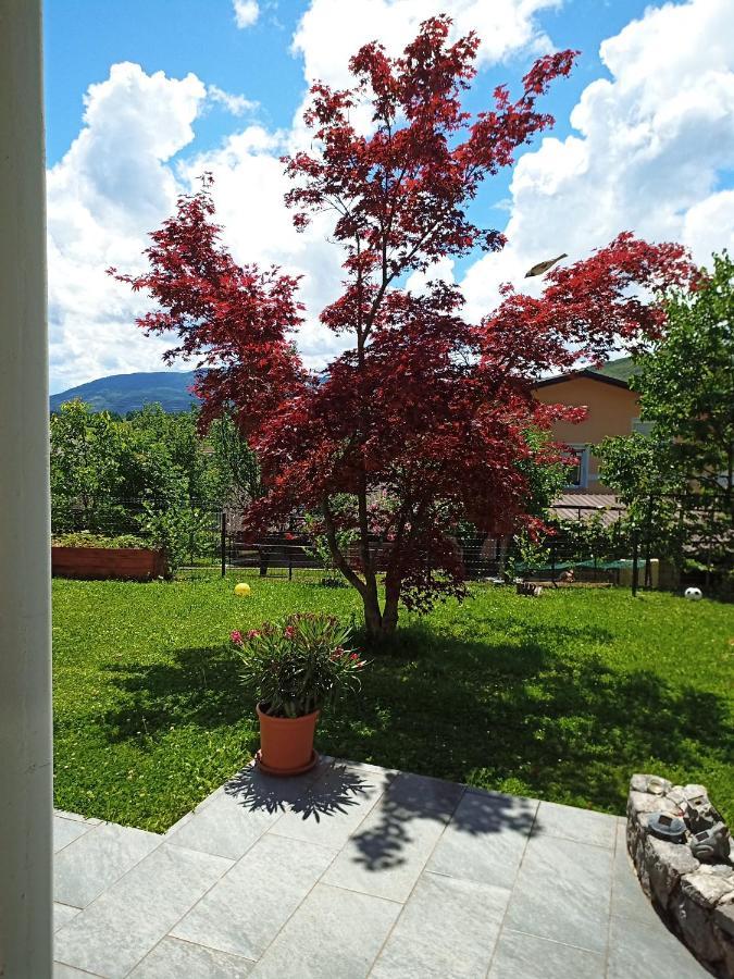 Dolenjska Vila Zuzemberk Екстер'єр фото